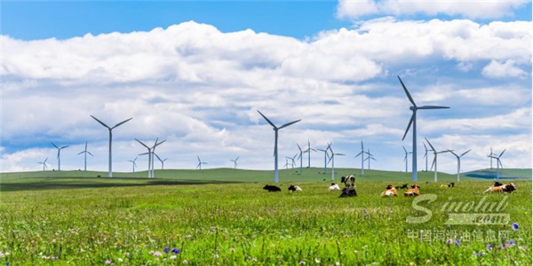 助力穩(wěn)定、可持續(xù)運行，統(tǒng)一特力格風電齒輪油裝機國電投風場