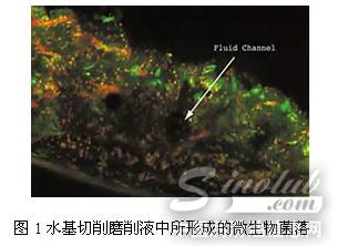 水基切削磨削液的種類選擇及其微生物滋生