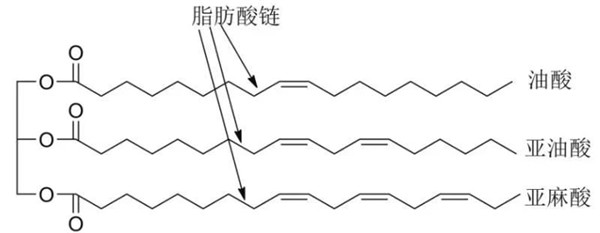 科普 | 植物油基潤滑油基礎(chǔ)油及添加劑的合成研究進展